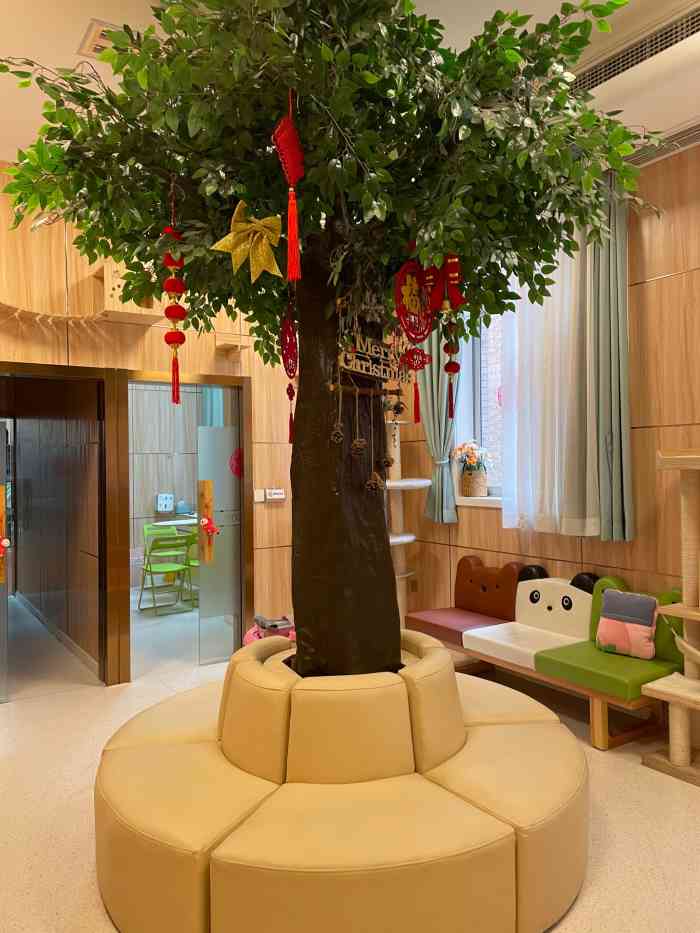 24h亚宠动物医院·圣心中心医院(大公馆立交店)