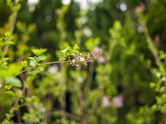 -白塘生态植物园
