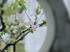 -拙政园