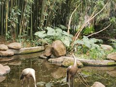 -广州兰圃