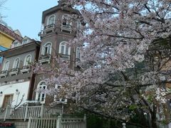 -四川省成都市彭州市白鹿镇