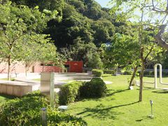 -香港大学