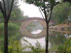 -大兴滨河森林公园