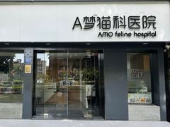 -御宝贝·A梦猫科宠物医院(国际猫友好医院)