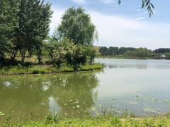 -东郊湿地公园