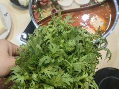 -福合埕牛口福·牛肉火锅·牛肉丸