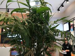 -MiRi明润眼镜·蔡司官方授权店(星光荟店)