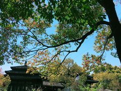 -韩湘水博园