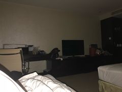 -国家会议中心大酒店