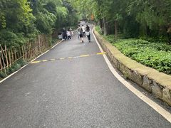 -云龙山