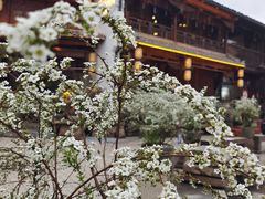 -香积寺