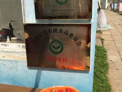 -大自然农场蔬菜草莓采摘园