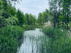 -狼山风景名胜区