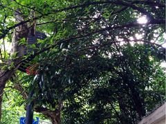 iphone_upload_pic-上海蔡元培故居陈列馆