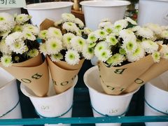 -BOBLOOM花店(宝龙旭辉广场店)