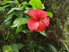 -海南热带野生动植物园