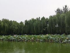 -团结湖公园