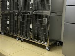 -顺强宠物诊所·狂犬免疫·夜诊·骨科(嘉定店)