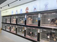 -翊宠yipet猫狗购宠庄园犬舍•猫舍