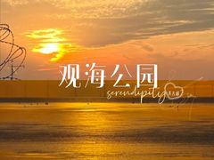 -南汇嘴观海公园