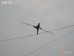 -白洋淀景区