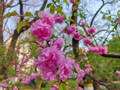 -陶然亭公园