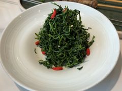 红果枸杞苗-清真·宁夏印象·盐池滩羊肉体验店(江宁路店)