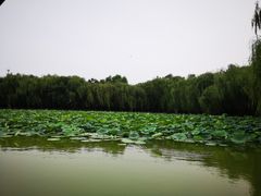 -廊坊市自然公园