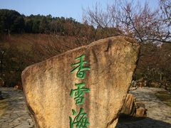 -香雪海
