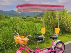 -东钱湖旅游度假区