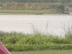 -深圳湾公园(南山区)