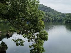 -白马涧龙池景区