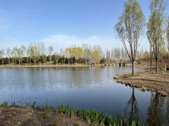 -东郊湿地公园