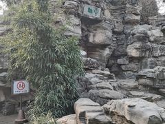 -团结湖公园