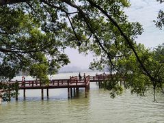 -星湖旅游景区七星岩