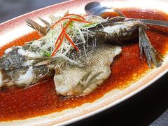 -曼格纳·曼芯馆(杨浦店)
