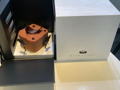 -BLACKSWAN黑天鹅(环球店)