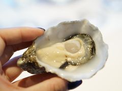 -Oyster Talks 四度蚝法餐厅