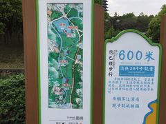 -宜兴龙背山森林公园