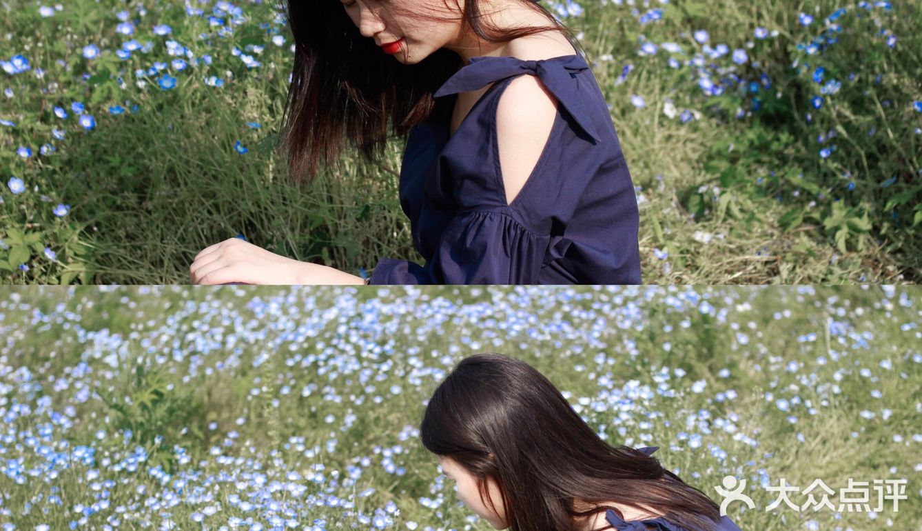 杭州喜林草花海打卡|掉进莫奈花园里啦
