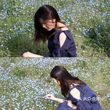 杭州喜林草花海打卡|掉进莫奈花园里啦