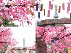-南湖梦幻岛