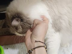 -佳雯宠物医院(四明中路分院)