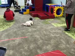 -美吉姆国际儿童发展中心(红谷滩绿地缤纷城中心)