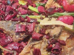 -老板恋上鱼(恒隆广场店)