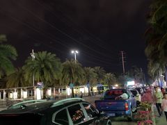 -万绿园