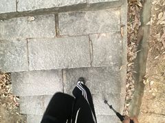 -火炉山森林公园