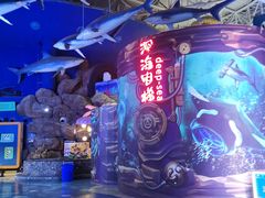 -烟台海昌鲸鲨海洋公园