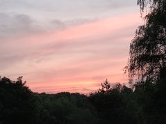 -昆山城市生态森林公园