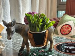 -慢丽江·云南野生菌土鸡锅(付家庄店)